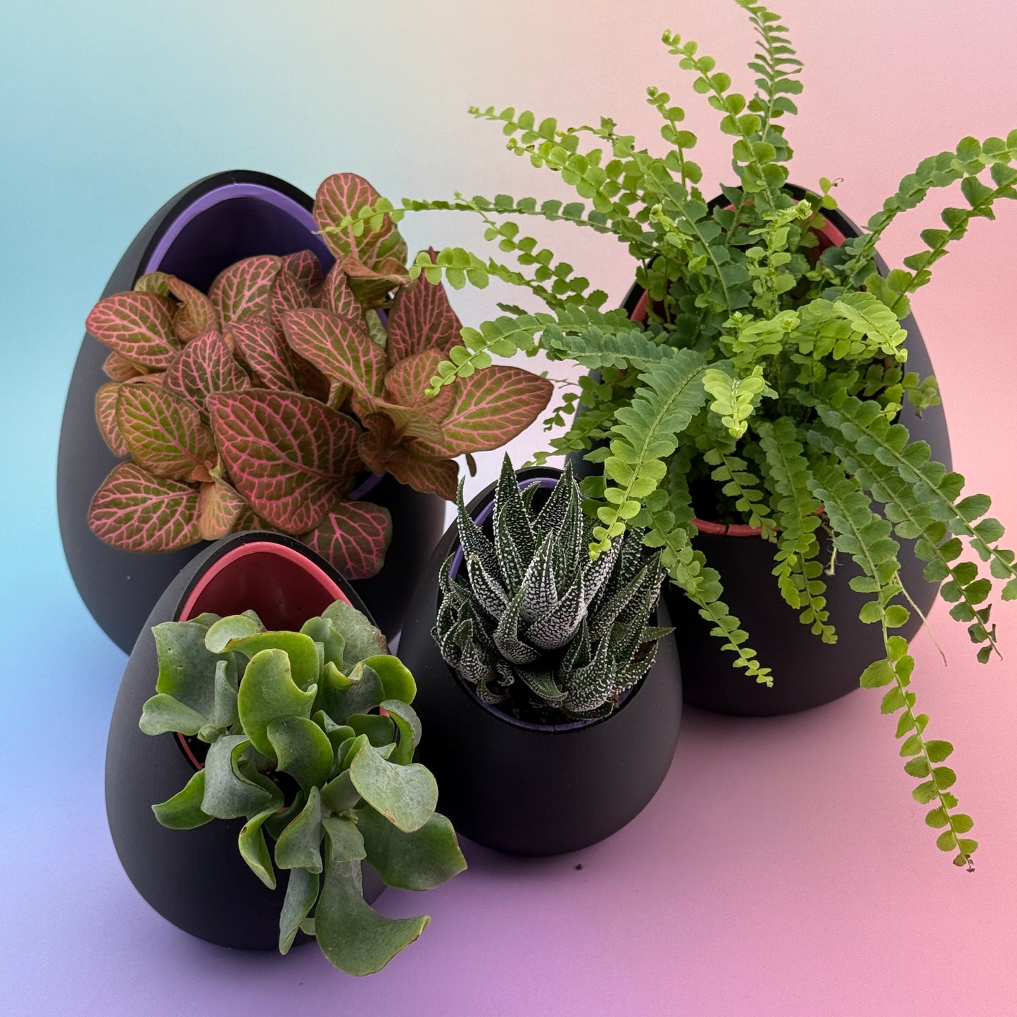 No Drainage Planters (Set of 2) β 120mm & 80mm