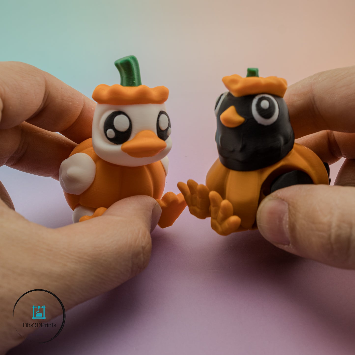 Pumpkin Costume Duck & Chicken — Set of 2 (3D Printed)