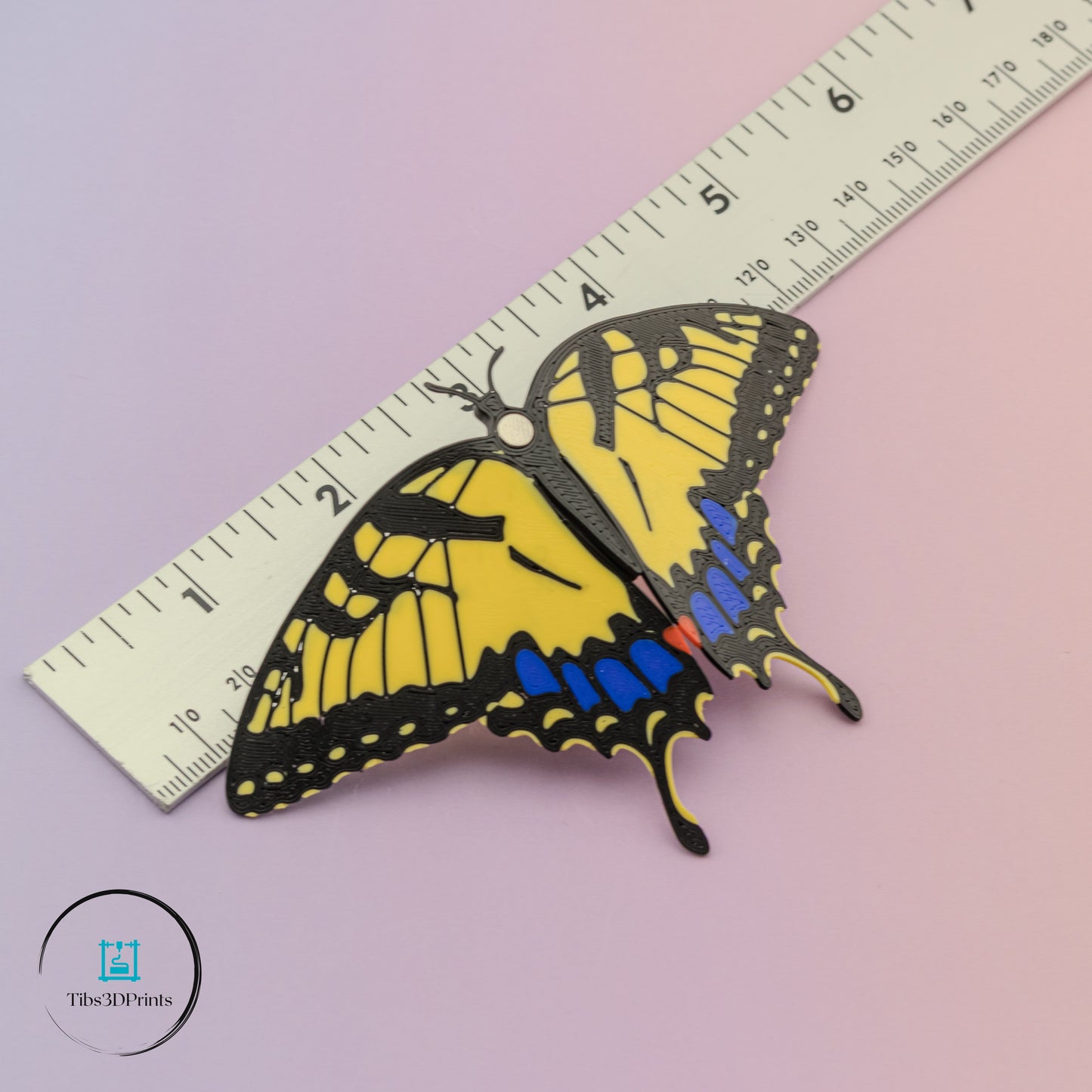 Butterfly magnet set showing variety of colors and species