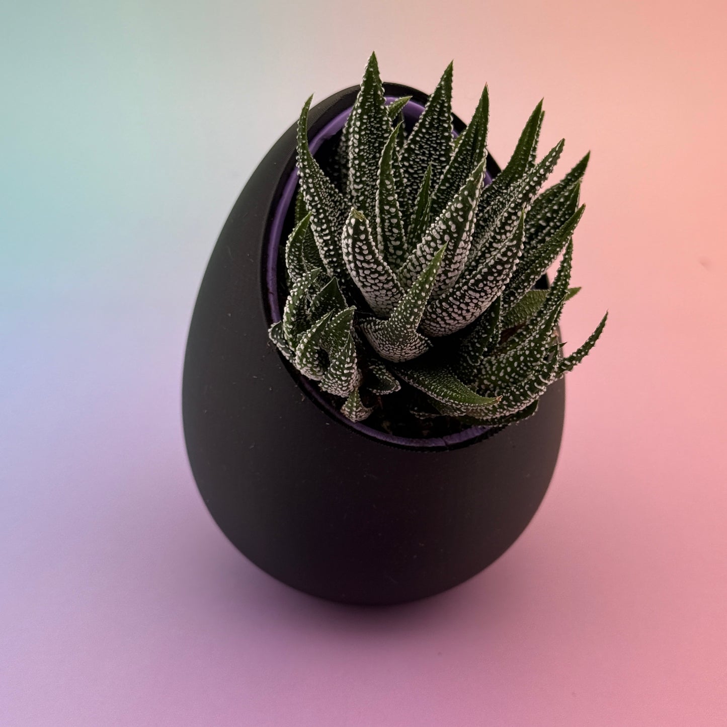 No Drainage Planters (Set of 2) — 120mm & 80mm