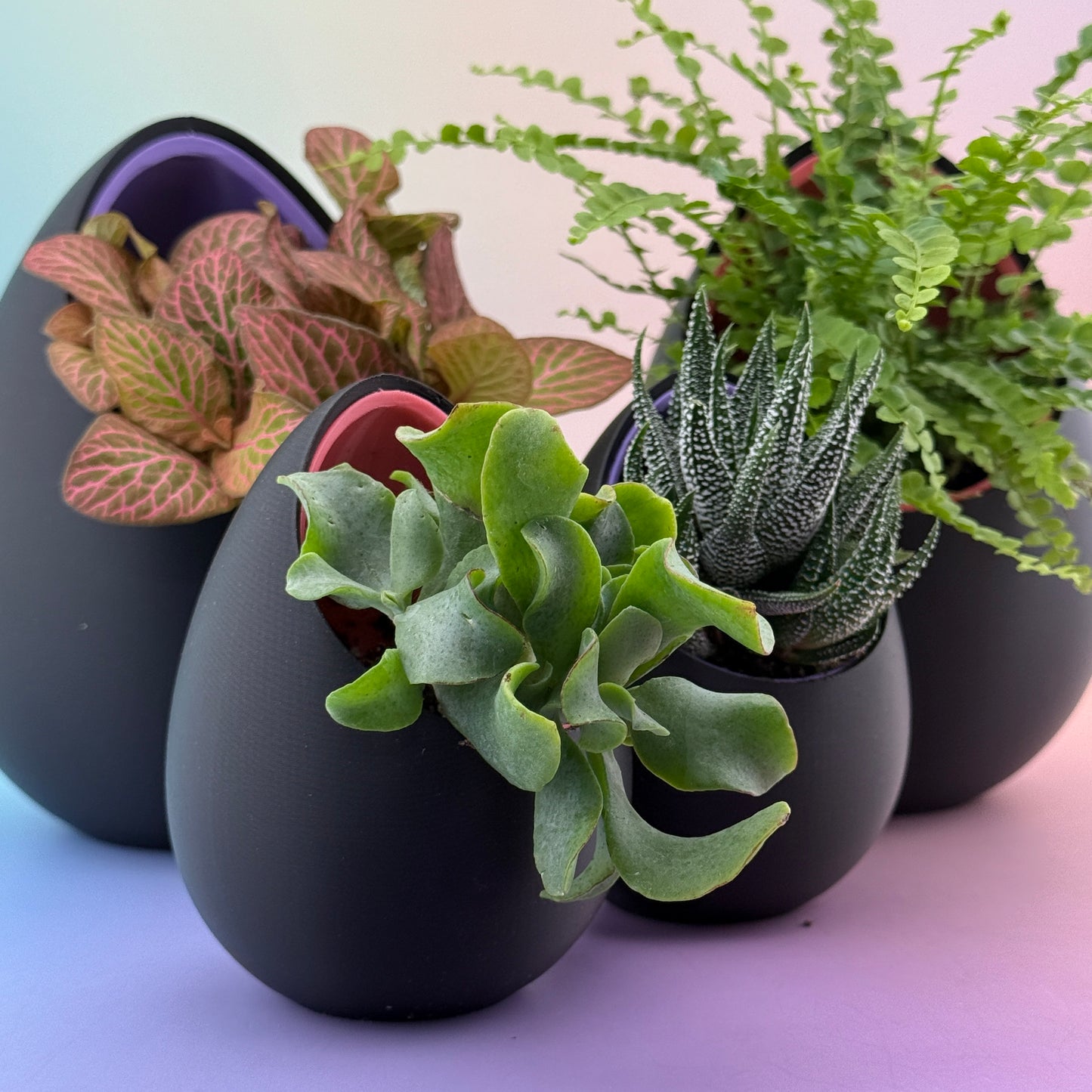 No Drainage Planters (Set of 2) — 120mm & 80mm